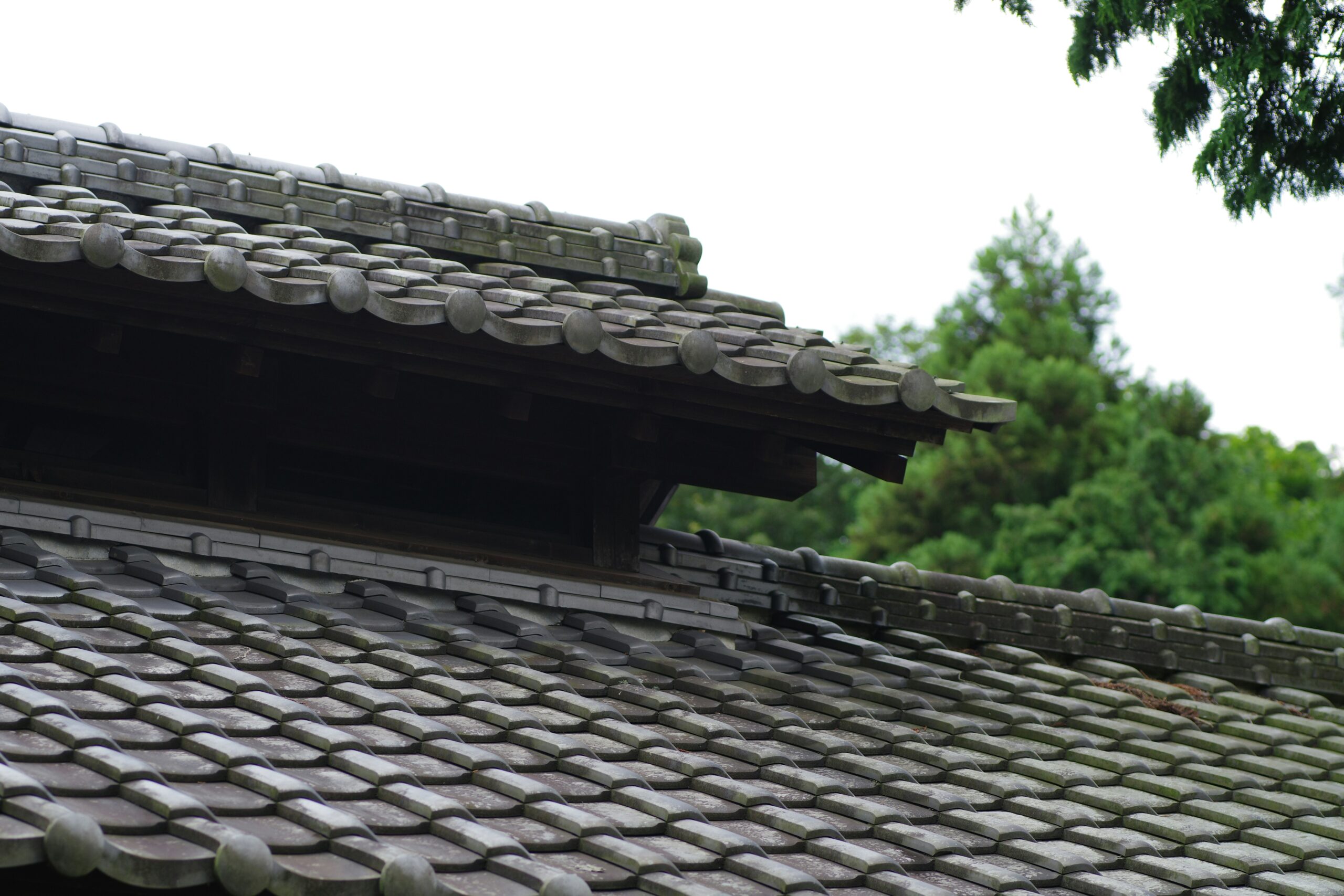 Roof Replacement